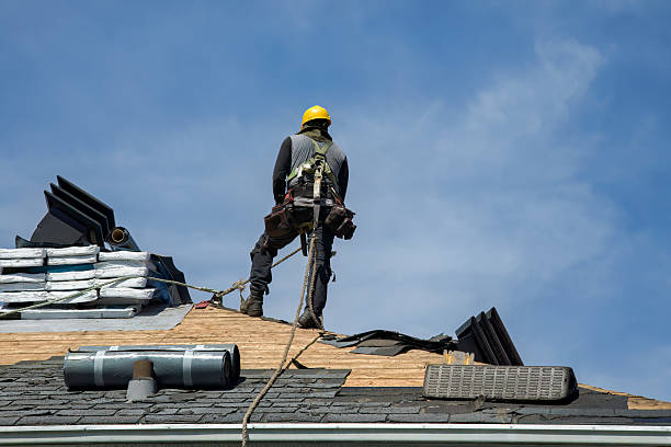 Professional Roof Replacement technician working in Freeland, MI